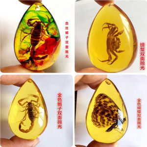 Creative Amber Insect Specimen Pendants Butterfly Crab Resin Ornaments Science Education Elementary School Children Gifts
