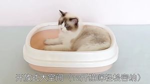 6 หลายรายการร้านผมแมวพร้อมที่ตักทราย สีพาสเทล กระบะทรายแมว ห้องน้ำแมว รุ่นขอบสูงกันทรายกระเด็น กระบะทราย เสริมสร้างสูงกัน สีพาสเทล