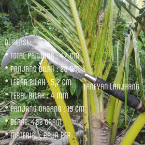 Pelong Atau Arit Tekok Paroh Atau Pisau Arit Asli Madura / Arit Super Tajam / Arit Serbaguna / Arit Baja Per Asli / Arit Asli Madura / Arit Super Bagus / Arit Rumput Gajah / Arit Jagung Tebu Baja Per / Calok Arit Baja