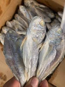 Kepala batu asin 500 gram