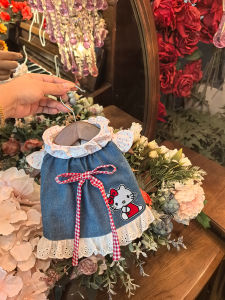 Small Dog Teddy Bichon Maltese Yorkshire Pet Cat Dog Clothes Anti-Lint Denim Skirt Fall and Winter