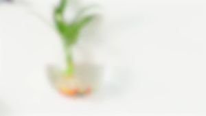 【Deal of the day】 Hot Hanging glass vase glass terrarium vase for hydroponics garden