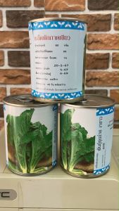 ผักกาดชุนฉ่าย ผักกาดหิ่น ผักาดคิ่น บรรจุ  80 กรัม  สิ้นอายุทำพันธุ์   04  / 69