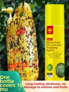 Fruit Fly Trap Adhesive Glue Board