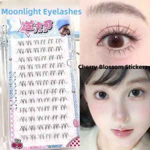 znk | Quick-apply Natural-looking False Eyelashes for Fresh Look