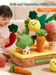 Teething Educational Pulling Carrot Toy