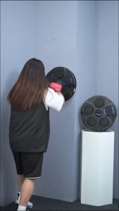 BYTEBEAT Smart Music Boxing Machine Digital Boxing Response Target Beat Rhythm Wall Target Hanging Smart Sandbag Training Equipment