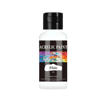 24 Colour Acrylic Paint Colors Bottled Acrylic Paint Set Paint For Fabric Clothing Painting Rich For Leather Dyes DIY Pigment