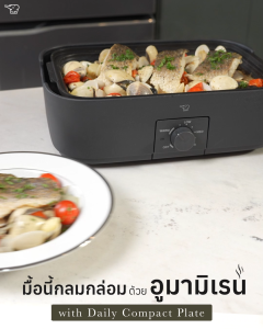 Zojirushi เตาปิ้งย่างไฟฟ้าเอนกประสงค์ ขนาดเล็ก รุ่น EJ-MAQ20T-BA BLACK ดำ