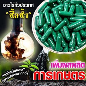 แคปซูลเขียวนาโน อาหารพืช ราคาโรงงาน ถูกสุดในตลาด  อัดเต็มแคปซูล