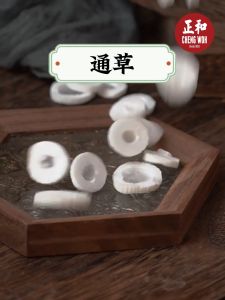 通草 100g Ricepaperplant stem Pith Herba Cina kering