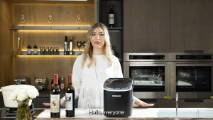 Portable Ice Maker Machine 26.5lbs/24Hrs 6 Mins/9 Pcs Bullet Ice Self-Cleaning Energy Savingfor Home/Kitchen/Office