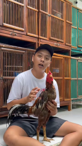 Bumbrung Cell 80ml Extra isi 35% - Seperti Super N dan Red Cell Multivitamin Ayam Laga