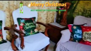 Christmas Throw Pillow Case Red Green Blue Series Home Cushion Cover With Zipper High Quality Soft Square Throw Pillowcase for Fluffy Sofa Size 18X18 Inches (45X45cm) COD