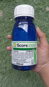 Fungisida Score 250EC