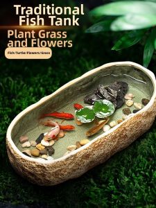 DABINGYANG | Eco-friendly Landscape Decoration Ceramic Water Cultivation Tank