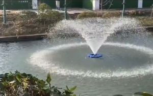 Máy bơm ao và tạo cảnh tạo oxy cho hồ cá 1100W/220v