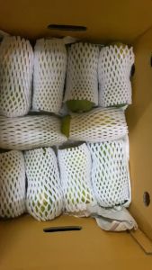 มะละกอ มะละกอฮอลแลนด์ มะละกอสุก มะละกอห่าม หวาน หอม อร่อย