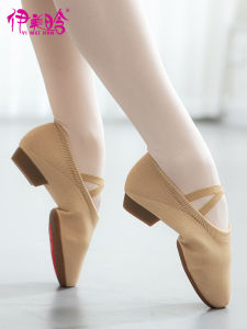 Imehan Womens Dance Shoes Soft Bottom Practice Ballet Shoes Adult New Style Outdoor Classical Professional Fitness Footwear