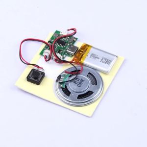 diymore | Handmade DIY Audio Record Module With Type-C Port 8M Capacity MP3 Compatible One-Touch Record & Play for Greeting Cards