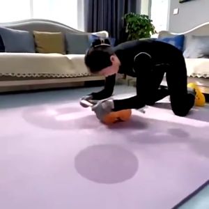 ME Ab Wheel Ab Roller Wheels Plank Trainer 2in1 Abdominal Core Roller Automatic Rebound Push Up