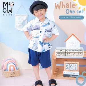 Setelan Anak Cowok Motif Animals One Set Lucu Terbaru