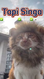 POODEE PETS Malaysia Soft Cute Cat Headgear Lion King Headdress Dog Disguise Funny Pet Hat Baju Kucing Pet Cloth Cat Sunhats Anjing