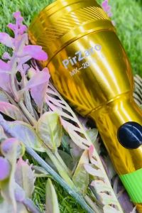 2025 Model Rechargeable Bright Flashlight Gold Torch Light Japan with Extra Battery & Bulb 2 Year Warranty