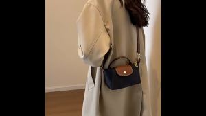 Dumpling Crossbody Bag Womens Mini Handbag College Student Waterproof Shoulder Beg Cosmetic Mobile Phone Bag