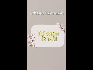 [HCM - Hỏa Tốc] Tinh dầu thiên nhiên DMT xông phòng thơm phòng đuổi muỗi nguyên chất 1 Lít - 12 Mùi