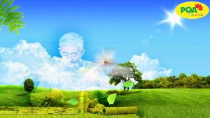 Bổ thần kinh PQA hộp 12 gói Người bị hoa mắt chóng mặt sắc mặt trắng nhức đầungủ ít hay nằm mê chân tay tê buồn nhức mỏi.