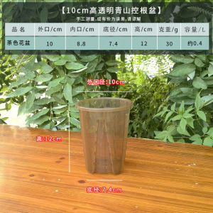 Chậu Nhựa Dày Trong Suốt Thoáng Khí Cho Cây Leo Xanh Lá Cây Phong Cách Hiện Đại Đơn Giản Dùng Để Trang Trí Ban Công Để Bàn