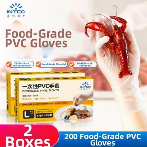 Intco | Food Grade Disposable Gloves