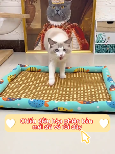Chiếu Điều Hòa MiuSa41 Store - Shop Ổ nằm mùa hè cho thú cưng từ 2kg- 35kg - Hình chữ nhật - Nhiều màu sắc - Dễ Dàng Vệ Sinh - Thoáng mát (CDH)