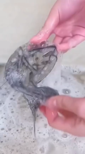 Sticker Jaring Penutup Saringan Lubang Toilet Kamar Mandi Wastafel Anti Mampet Anti Kecoa