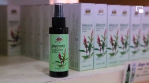 มัสคูล สเปรย์ Muscool Spray อภัยภูเบศร ขนาดบรรจุ 60 ml. Abhaibhubejhr ลดอาการปวดกล้ามเนื้อ ปวดเมื่อยตามร่างกาย