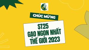 GẠO ÔNG CUA ST25 LÚA TÔM_Hộp 2kg (hút chân không)