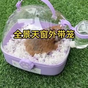 SKISOPGO Hamster Takeaway Cage Transparent Panoramic Breathable Cage with Safe Lock and Handle Travel Cage