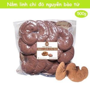 Nấm linh chi đỏ nguyên bào tử 500g (Xích chi cao cấp CNV)