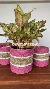 Keranjang Loly Anyaman Cover Pot Seagrass Vas Bunga 3 in 1 - Kerajinan Anyaman Jogja