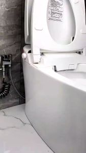 Handheld Bidet Sprayer Set: A Comprehensive Guide