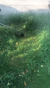 10in 40T Teeth Trimmer Blade Wear-resistant Alloy Circular Blade for Grass Cutter