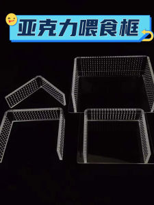 Acrylic Feeding Circle Black Shell Shrimp Food Tray Pet Shrimp Feeder Dish Aquatic Equipment for Indoor Fish Tank