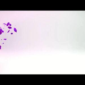 Nagaraku Eyelash Extension Premium Tanam Bulu Mata Palsu Single Size Lentik Natural Lembut Korea NGD