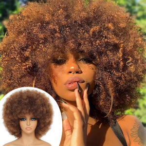 Synthetic Afro Kinky Curly Wig for Women Black 70s Bouncy and Soft Afro Puff Wigs Natural Looking Full Wigs for Party Cosplay