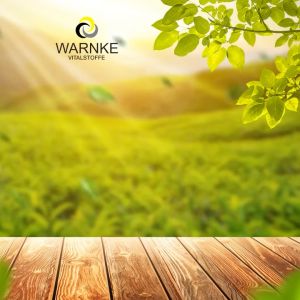 Viên Uống Đông Trùng Hạ Thảo Warnke 500mg Bồi Bổ Sức Khỏe Thực Phẩm Chức Năng Nhập Đức Hàng Chính Hãng