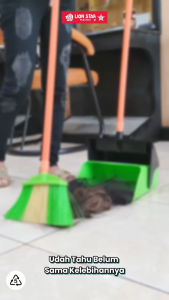 Cikrak Serokan Pengki Betadust Pan 001/002 Lion Star