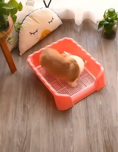 ห้องน้ำหมาขอบสี่เหลี่ยม ห้องน้ำสูงรอง ถาดฉี่สูงรอง มีเสา