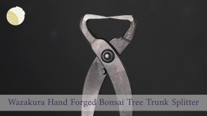 Wazakura Hand Forged Bonsai Tree Trunk Splitter 8.25"(210mm) MADE IN JAPAN Asymmetrical HandleHand-Forged by Master Artisans in JapanPrecision Trunk Splitting ToolMinimal ScarringErgonomic Handlesjapanese bonsai toolsbonsai tools
