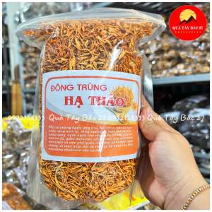(SALE KHỦNG 30%-60%) Đông Trùng Hạ Thảo Sấy Lạnh (500gr)- Sợi To Ngon Hàng Cao Cấp Bồi Bổ Cơ Thể-Qùa Tây Bắc 27
